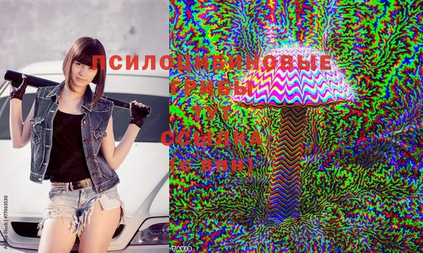 кокс Абинск
