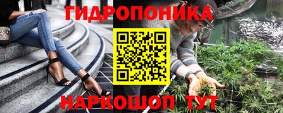 крисы Гусев