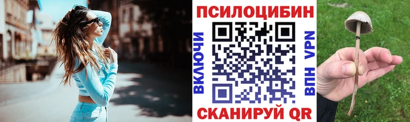 Псилоцибиновые грибы Magic Shrooms  kraken зеркало  Карпинск 